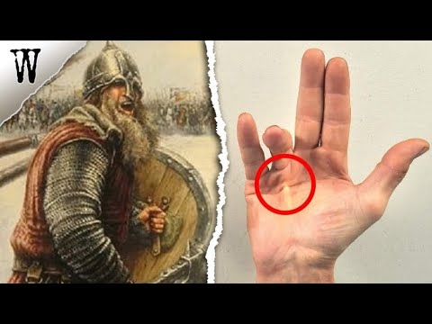 Signs of VIKING ANCESTRY You Shouldn't Ignore