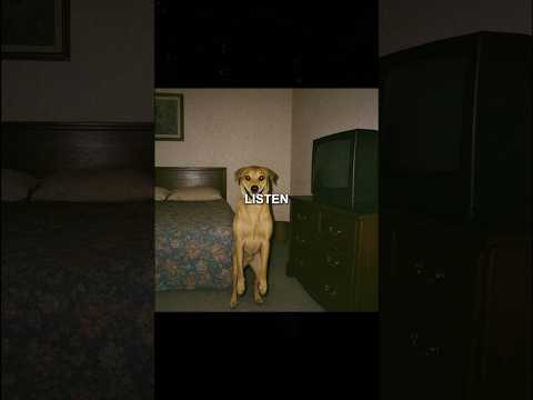 Don’t Ignore Your Dog This Activities At Midnight #scary #shorts #creepy
