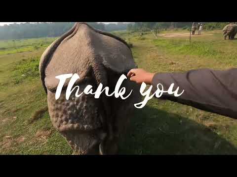 chitwan nation park😱.. sauraha ma hatti ra gaida gothalo