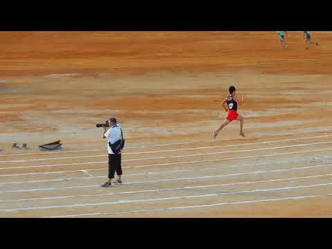4x400m Adulto - Sel Inter 2019