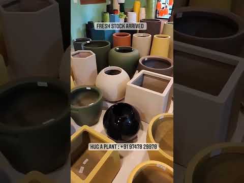 New premium fibre pots arrivedWholesale and retail available !!