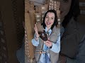 Шльопанці жіночі екошкіра 594724 Коричневі Відео