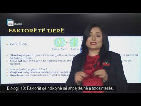 Biologji 10 - Faktorët që ndikojnë në shpejtësinë e fotosintezës