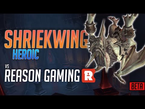 Reason Gaming VS Shriekwing (Warlock) BETA Raid Testing