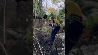 dante-salvato-in-un-dirupo