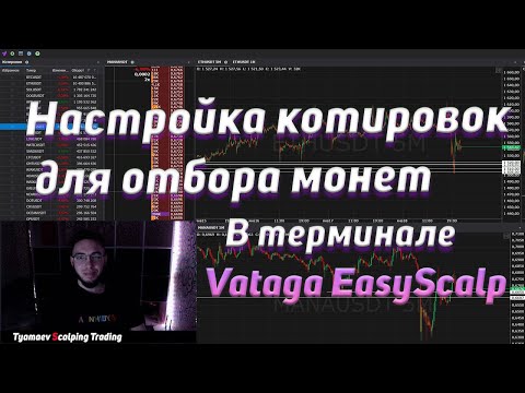Быстрая и простая настройка котировок для отбора монет | В терминале Vataga EasyScalp | Скальпинг |