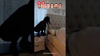 Neymar, Lehmann, Palmer, Djordjina, Messi, Ronaldo #shorts #footballshorts #ronaldo