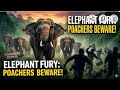 Poachers Beware Nature Strikes Back