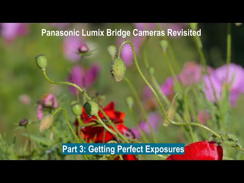 Panasonic Lumix Bridge Cameras Revisited: Part 3 Getting the correct exposure
