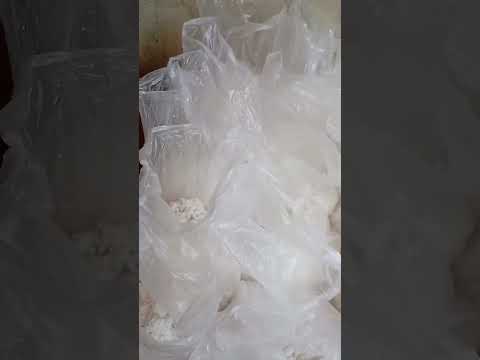 coco ralado tu bigodão faça sua encomenda assentamento piranema Fundão espírito Santo