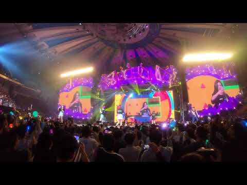 TWICELAND FANTASYPARK DAY1 ENCORE WIDE SHOT 4K FANCAM