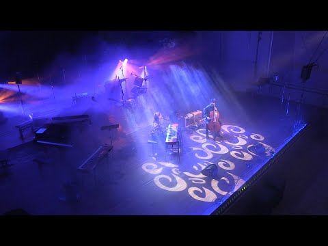 vocellize - Und dann kommst du [Live]