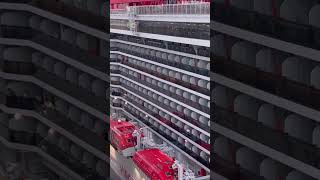 Dynamic!    #cruise #yt #ytshorts