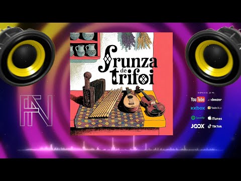 Formația Nuntașii - Frunză de Trifoi 🎹 Muzica de Petrecere Moldoveneasca