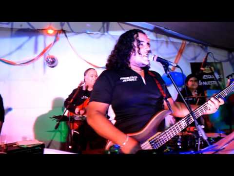 DVD Ki nientos en vivo - vuelve vida mía - 500 - quinientos - kinientos