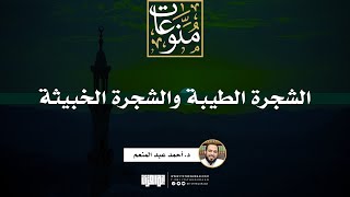 صورة الشجرة الطيبة والشجرة الخبيثة | خطبة | د. أحمد عبد المنعم