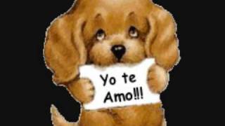 SOBRE MIS PIES. ARROLLADORA BANDA LIMON