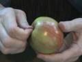 pistä omena puoliks paljain käsin