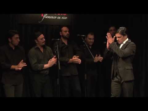 CASA PATAS, FLAMENCO EN VIVO 226   EL CARPETA 1080p