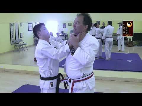 Breaklocks: Front Choke-Arm and Wrist Take-down-reinforced