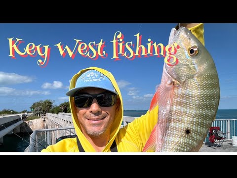 "Fishing Frenzy KEY WEST Bridge: Conquering Islamorada's Waters with Epic Catches!"