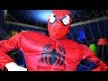SPIDERMAN STEALS ALL YOUR STUFF Very Organised Thief
