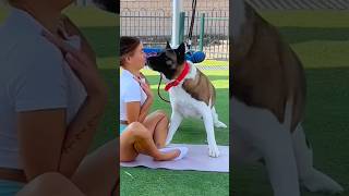 Calm Stretching… Then My Dog Showed Up 😭🐶 #shorts #dogshorts #stretching #funnydogs #fitness