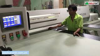 MÁY CẮT VÁN MDF TỰ ĐỘNG GIÁ RẺ NHẤT TP. HCM