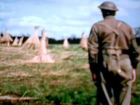 Television Gold - Dad's Army