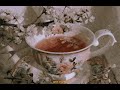 Beach House - Astronaut [Subtitulada]