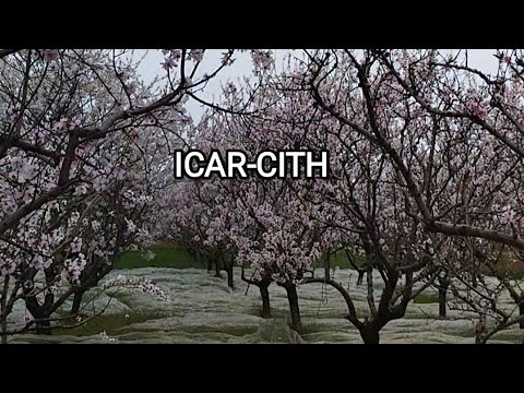 Invite Farmers for Visit to our Field ICAR-CITH,By Director, Dr.M K.Verma old airport Srinagar