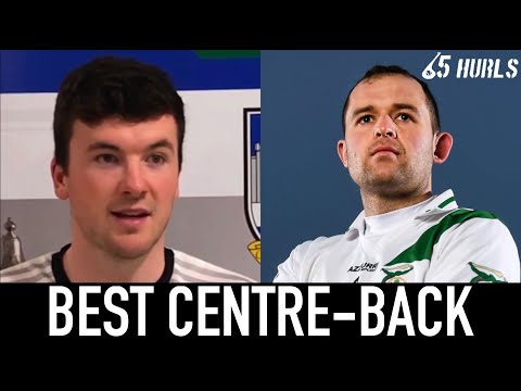 Best centre-back in hurling
