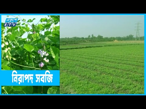 রাসায়নিক সার ও কীটনাশকের পরিবর্তে জৈব সার