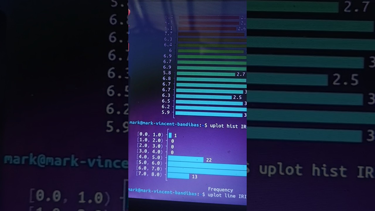 How to Create Data Visualizations in the Linux Terminal With YouPlot