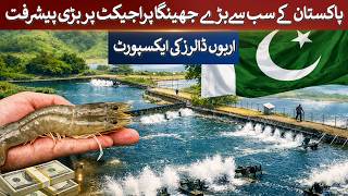Download lagu Major progress on Pakistan's largest shrimp project Exports worth $1 billion | Rich Pakistan mp3