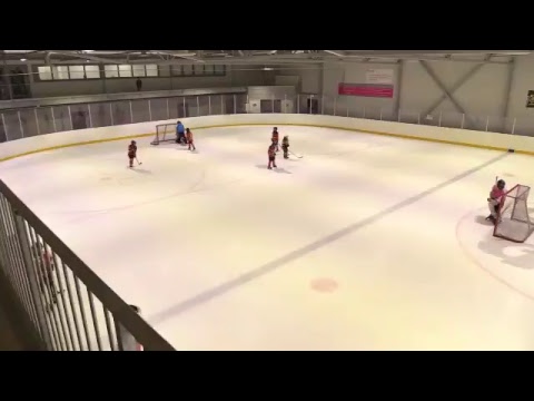 JYP Tyttökiekko Live-stream