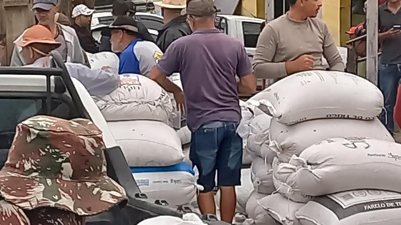 feira do feijão / farinha capoeiras Pe.23/08/24