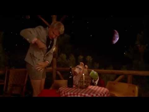 The Muppet Movie: Steve Martin Cameo