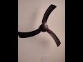 #crompton Gianna ceiling fan smocked brown colour look