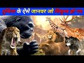 दुनिया के ऐसे जानवर जो विलुप्त हो गए How M