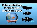 Ikan Hias Kecil Yang Aktif Berenang