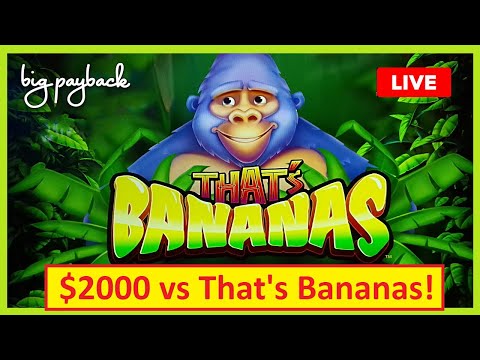 $2000 vs That's Bananas - LIVE SLOTS S1: Ep. 2 | The Big Payback - YouTube