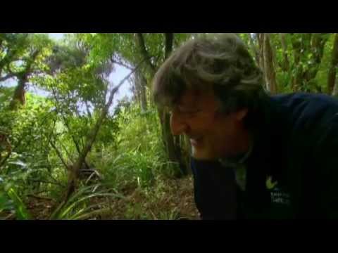 Stephen Fry, Lizard and Parrot - Last Chance to See (2009, BBC)