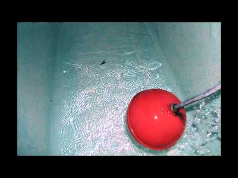 download lagu mp3 mp4 Tank Cleaning Companies In Dubai, download lagu Tank Cleaning Companies In Dubai gratis, unduh video klip Tank Cleaning Companies In Dubai