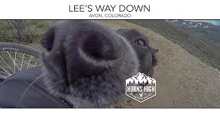 Lee's Way Down  |  JULY 2017  |  No dogs were harmed in the making of this video.