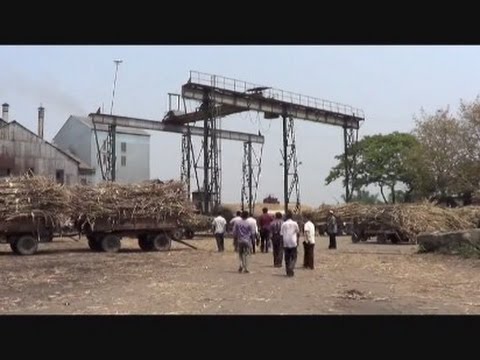 ফরিদপুর চিনিকল লি.