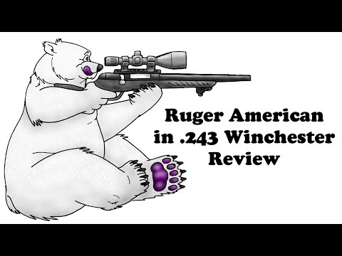 Ruger American in 243 Win Review