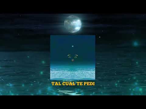 Tal cual te pedi - Reis Belico [Prod. KromoMvp]