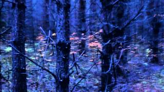 2muchachos - lost in the mist