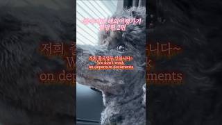 2편 과연 강아지랑 해외여행 할수잇을까?